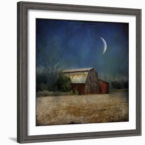 In the Land of Cotton-Barbara Simmons-Framed Giclee Print