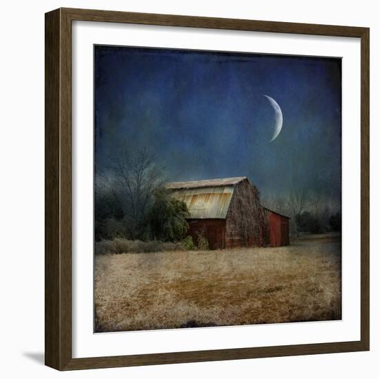 In the Land of Cotton-Barbara Simmons-Framed Giclee Print