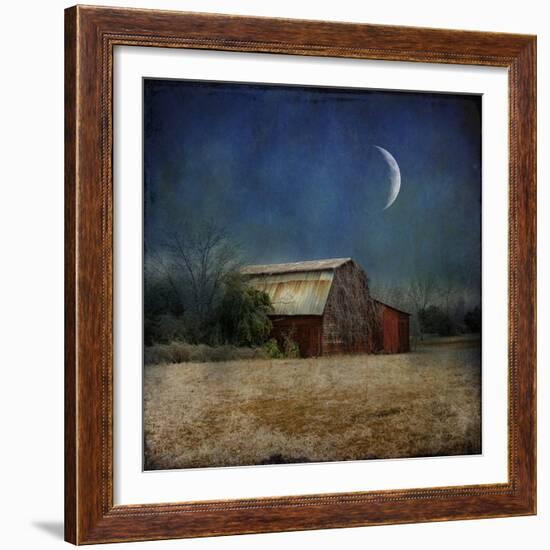 In the Land of Cotton-Barbara Simmons-Framed Giclee Print