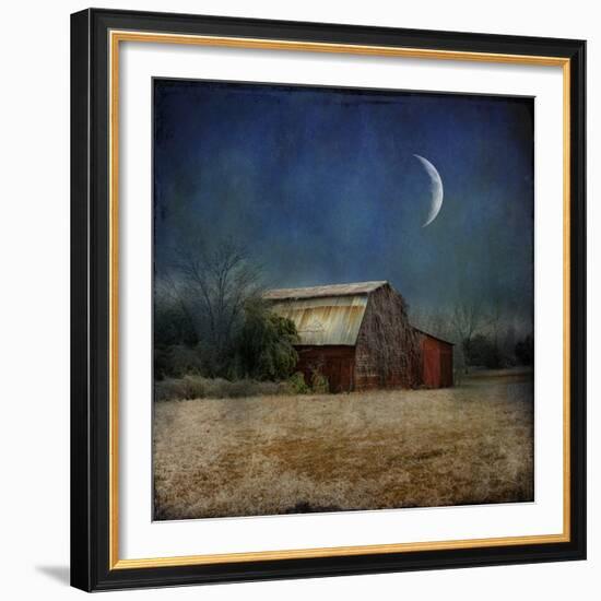 In the Land of Cotton-Barbara Simmons-Framed Giclee Print