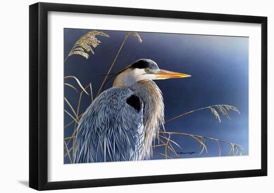 In the Light - Great Blue Heron-Richard Clifton-Framed Art Print