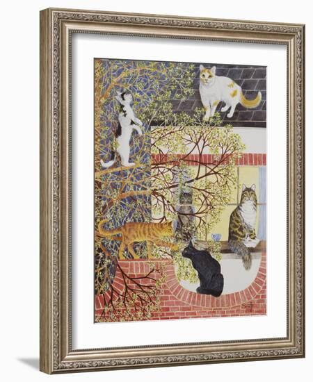 In the Limelight-Pat Scott-Framed Giclee Print