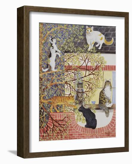 In the Limelight-Pat Scott-Framed Giclee Print