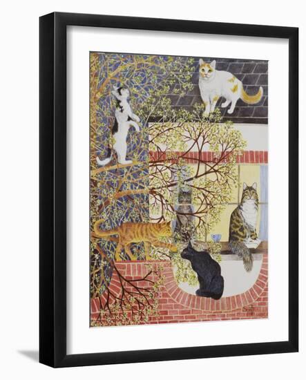 In the Limelight-Pat Scott-Framed Giclee Print