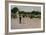 In the Luxembourg Gardens, 1879-John Singer Sargent-Framed Art Print