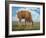 In the Meadow II-Chris Vest-Framed Art Print