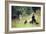 In the Meadow-Berthe Morisot-Framed Art Print