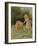 In the Meadow-Anonymous Anonymous-Framed Giclee Print