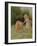 In the Meadow-Anonymous Anonymous-Framed Giclee Print