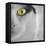 In the Minds Eye-Adrian Campfield-Framed Premier Image Canvas
