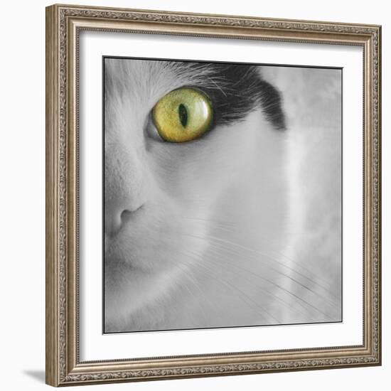 In the Minds Eye-Adrian Campfield-Framed Photographic Print