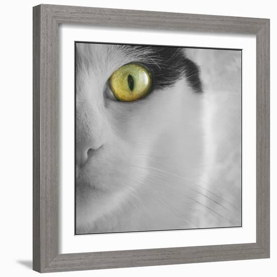 In the Minds Eye-Adrian Campfield-Framed Photographic Print