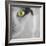 In the Minds Eye-Adrian Campfield-Framed Photographic Print