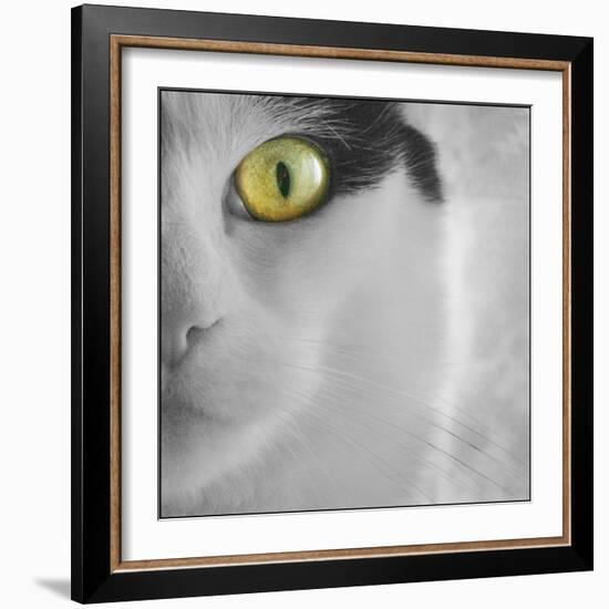 In the Minds Eye-Adrian Campfield-Framed Photographic Print