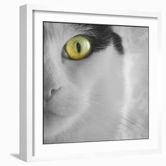 In the Minds Eye-Adrian Campfield-Framed Photographic Print