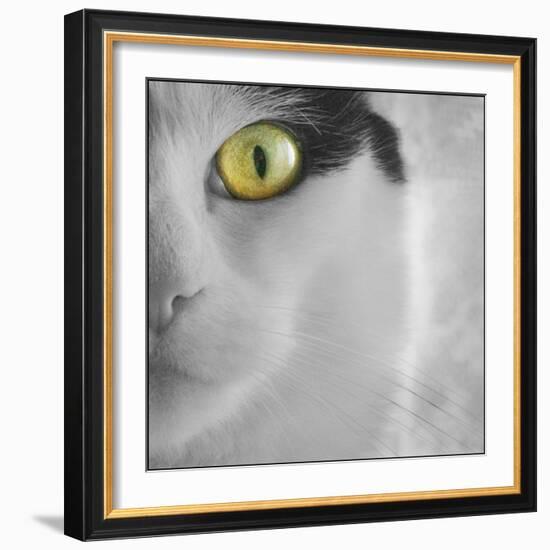 In the Minds Eye-Adrian Campfield-Framed Photographic Print