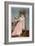 In the Mirror, 1890-Auguste Toulmouche-Framed Giclee Print