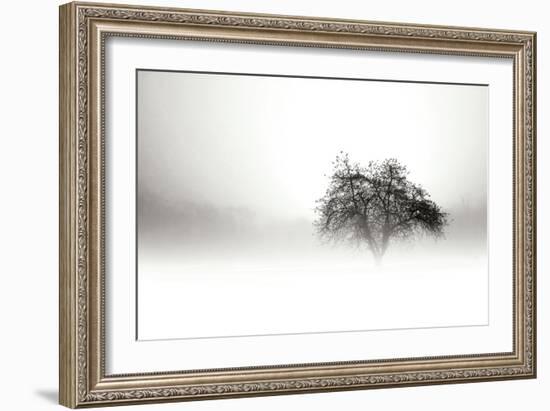 In the Mist I-Alan Hausenflock-Framed Photographic Print