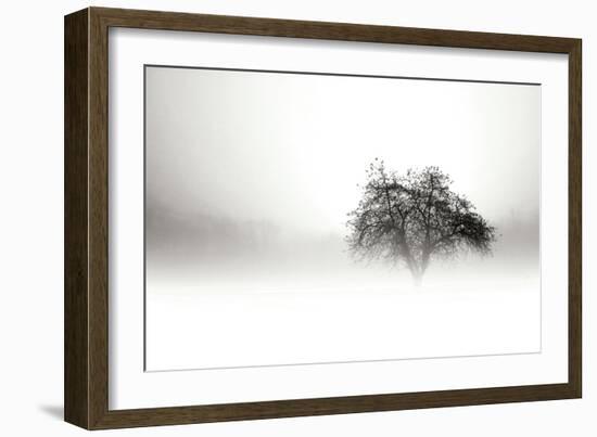 In the Mist I-Alan Hausenflock-Framed Photographic Print