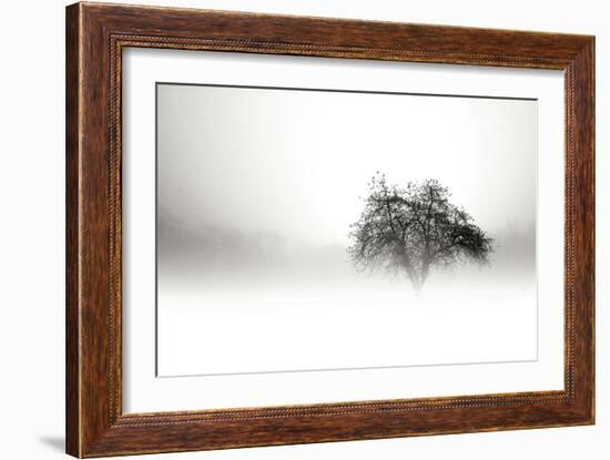 In the Mist I-Alan Hausenflock-Framed Photographic Print