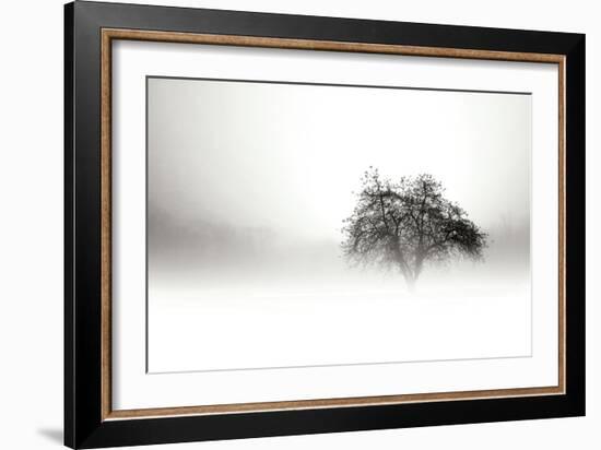 In the Mist I-Alan Hausenflock-Framed Photographic Print