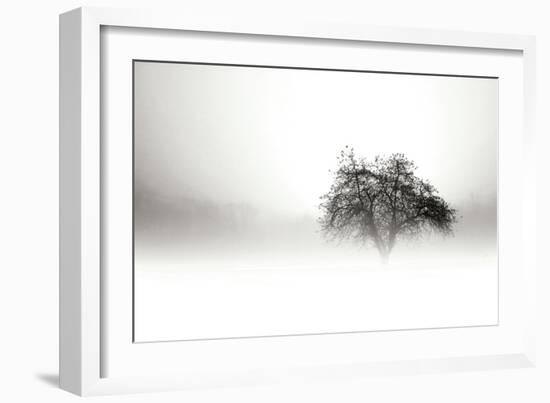 In the Mist I-Alan Hausenflock-Framed Photographic Print