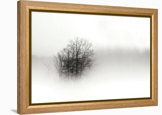 In the Mist II-Alan Hausenflock-Framed Premier Image Canvas