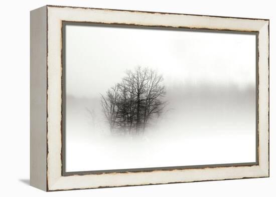 In the Mist II-Alan Hausenflock-Framed Premier Image Canvas