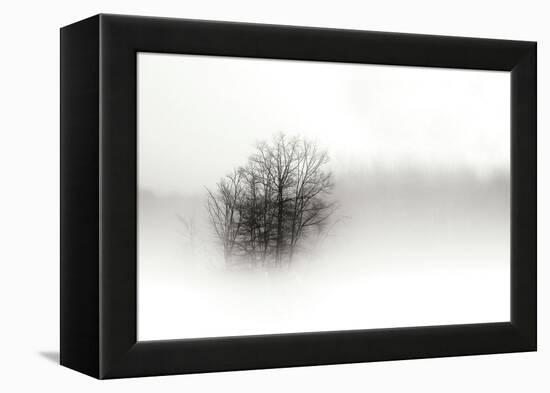 In the Mist II-Alan Hausenflock-Framed Premier Image Canvas