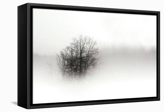 In the Mist II-Alan Hausenflock-Framed Premier Image Canvas