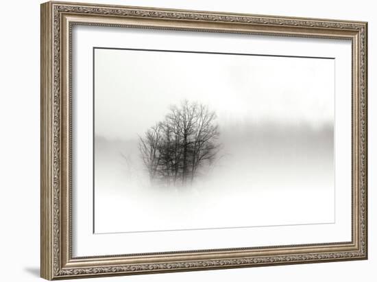 In the Mist II-Alan Hausenflock-Framed Photographic Print