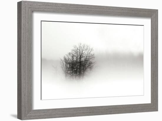 In the Mist II-Alan Hausenflock-Framed Photographic Print