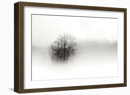 In the Mist II-Alan Hausenflock-Framed Photographic Print