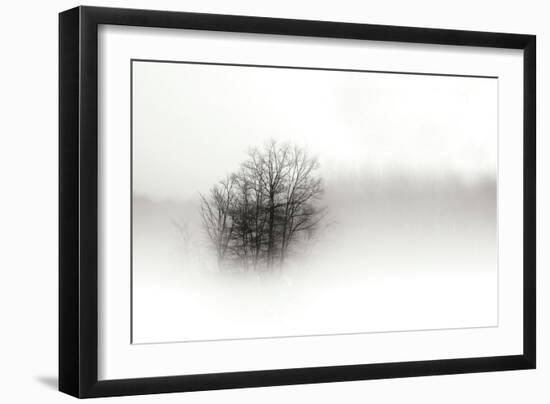 In the Mist II-Alan Hausenflock-Framed Photographic Print