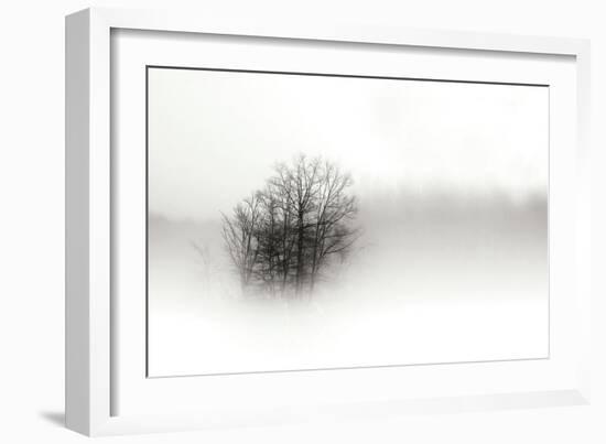 In the Mist II-Alan Hausenflock-Framed Photographic Print