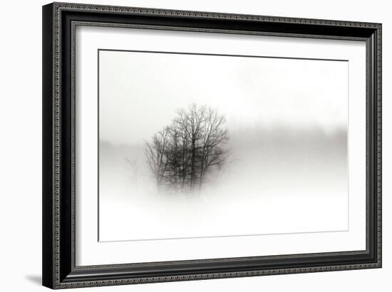 In the Mist II-Alan Hausenflock-Framed Photographic Print