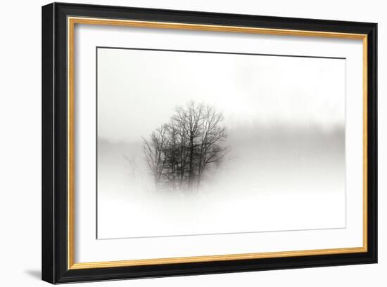 In the Mist II-Alan Hausenflock-Framed Photographic Print