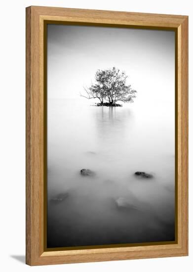 In the Mist-null-Framed Premier Image Canvas