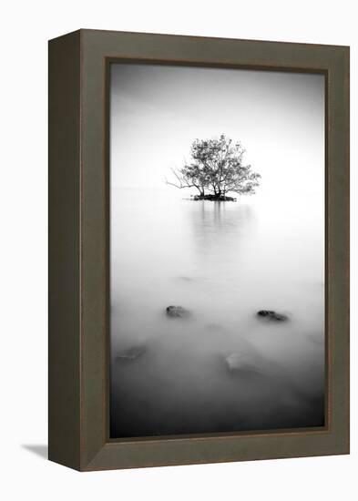 In the Mist-null-Framed Premier Image Canvas