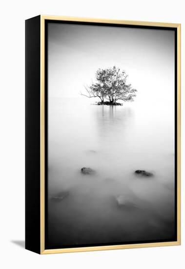 In the Mist-null-Framed Premier Image Canvas