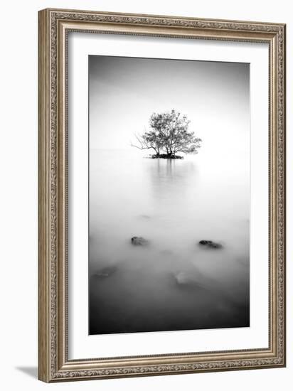 In the Mist-null-Framed Photographic Print