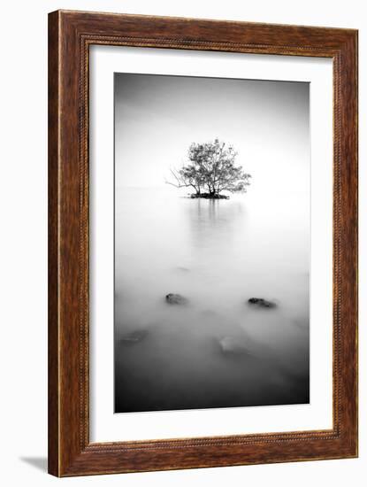 In the Mist-null-Framed Photographic Print