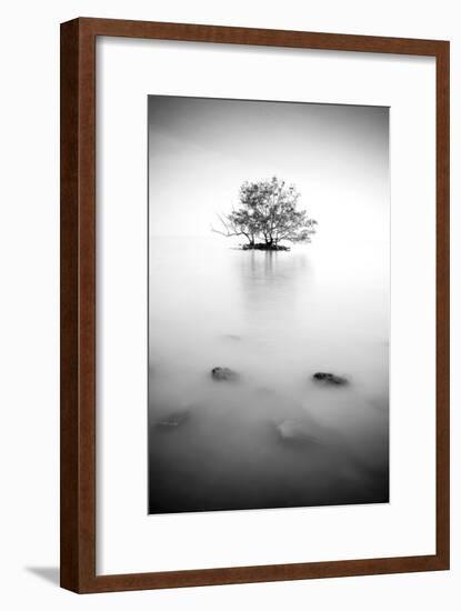 In the Mist-null-Framed Photographic Print