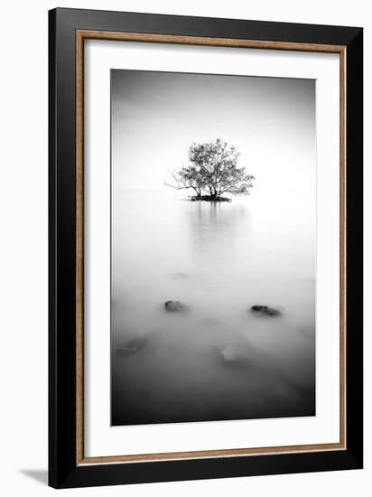 In the Mist-null-Framed Photographic Print