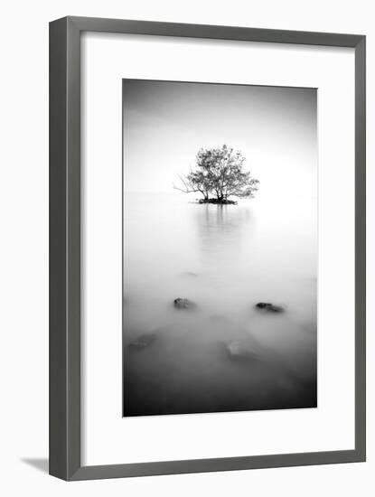 In the Mist-null-Framed Photographic Print