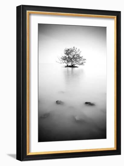 In the Mist-null-Framed Photographic Print