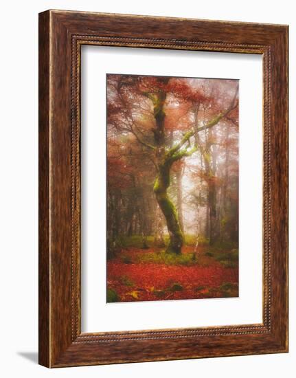 In the Mood of Autumn-Philippe Sainte-Laudy-Framed Photographic Print