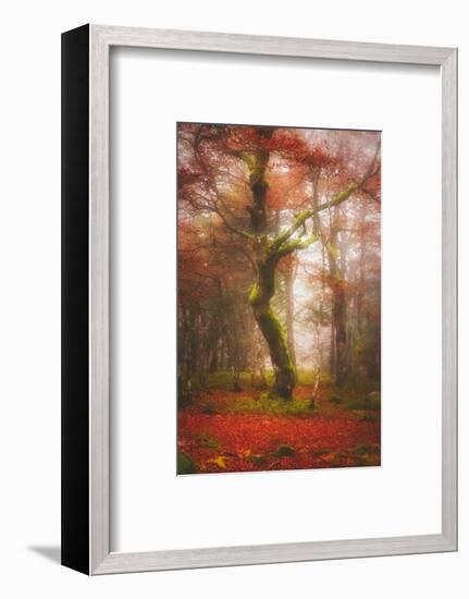 In the Mood of Autumn-Philippe Sainte-Laudy-Framed Photographic Print