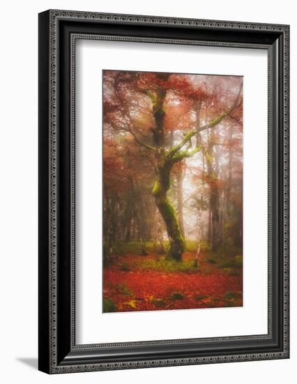 In the Mood of Autumn-Philippe Sainte-Laudy-Framed Photographic Print
