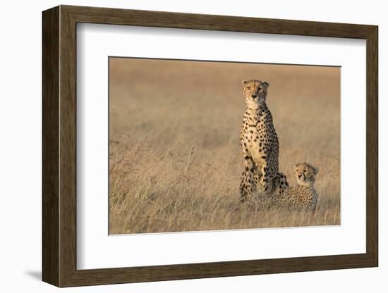 In the Morning Glow-Renee Doyle-Framed Photographic Print